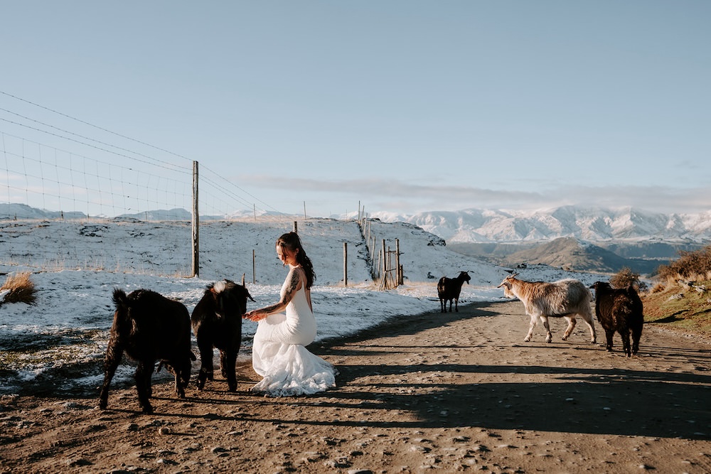 queenstown elopement